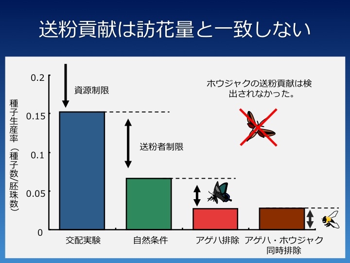 e-book1_slide3.jpg